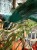 IMG_1772.jpeg