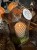 IMG_1854.jpeg