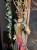 IMG_1869.jpeg