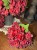 IMG_1873.jpeg