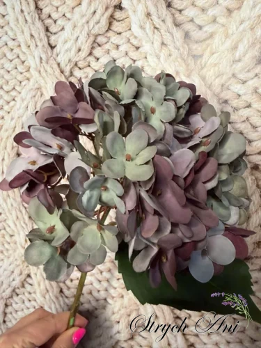image-1081939344326710.webp