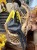 IMG_1900.jpeg