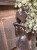 IMG_2134.jpeg