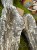 IMG_2138.jpeg