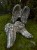 IMG_2139.jpeg