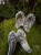 IMG_2141.jpeg