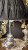 IMG_2174.jpeg