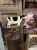 IMG_2167.jpeg