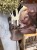 IMG_2164.jpeg