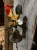 IMG_2163.jpeg