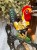 IMG_2160.jpeg