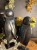 IMG_2238.jpeg