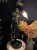 IMG_2242.jpeg