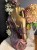 IMG_2255.jpeg