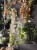 IMG_2320.jpeg