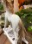 IMG_2497.jpeg