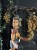 IMG_2531.jpeg