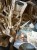 IMG_2542.jpeg