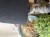 IMG_2561.jpeg