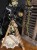 IMG_2582.jpeg
