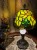 IMG_2645.jpeg