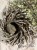 IMG_2768.jpeg