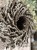 IMG_2769.jpeg