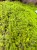 IMG_2829.jpeg