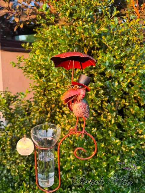 image-1708785467007450.webp