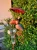 image-1074175771807463.webp