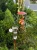 image-1507852904003366.webp