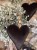 IMG_2992.jpeg