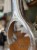 IMG_3013.jpeg