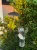 image-1754049206175816-1.webp