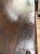 IMG_3096.jpeg