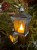 IMG_3141.jpeg