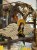 IMG_3152.jpeg