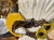 IMG_3154.jpeg