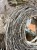 IMG_3165.jpeg