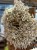 IMG_3176.jpeg