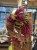 IMG_3178.jpeg