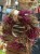 IMG_3179.jpeg