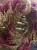 IMG_3181.jpeg