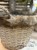 IMG_3198.jpeg