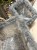 IMG_3204.jpeg