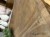 IMG_3212.jpeg