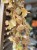 IMG_3223.jpeg