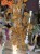 IMG_3224.jpeg