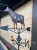 IMG_2869.jpeg