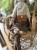 IMG_3275.jpeg
